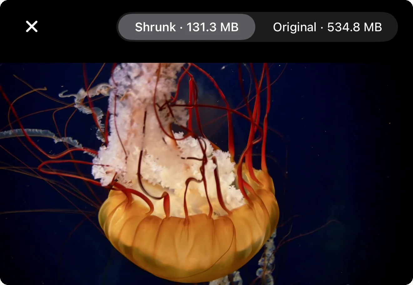 A comparison view with a two-way switch at the top reading Shrunk 131.3 MB and Original 534.8 MB, the same frame of video playing under either one.