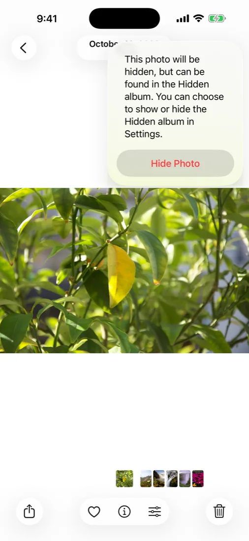 An iOS confirmation panel reading: This photo will be hidden, but can be found in the Hidden album. You can choose to show or hide the Hidden album in Settings. Below it a red Hide Photo button.